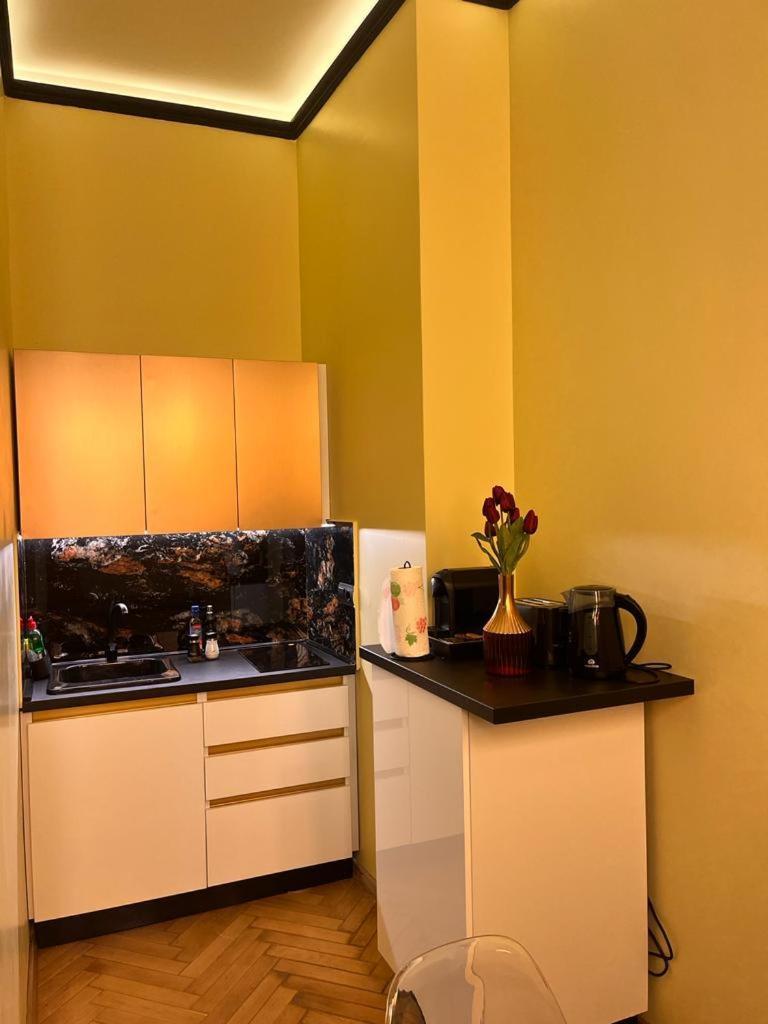 Urban Central Apartments 布拉索夫 外观 照片